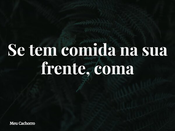 Se tem comida na sua frente, coma... Frase de Meu Cachorro.