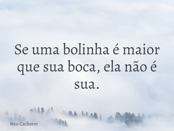 Se uma bolinha é maior que sua boca, ela não é sua.... Frase de Meu Cachorro.
