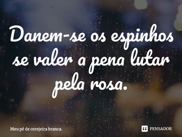 ⁠Danem-se os espinhos se valer a pena lutar pela rosa.... Frase de Meu pé de cerejeira branca..