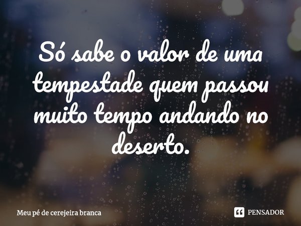 ⁠Só sabe o valor de uma tempestade quem passou muito tempo andando no deserto.... Frase de Meu pé de cerejeira branca.