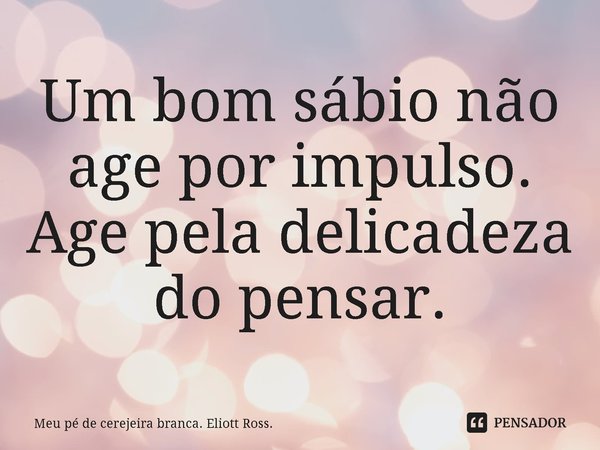 ⁠Um bom sábio não age por impulso. Age pela delicadeza do pensar.... Frase de Meu pé de cerejeira branca. Eliott Ross..