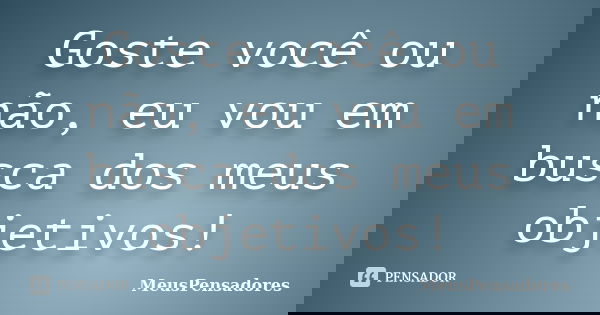 Goste você ou não, eu vou em busca dos meus objetivos!... Frase de MeusPensadores.