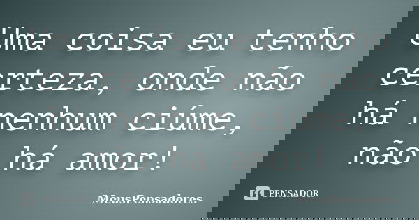 Uma coisa eu tenho certeza, onde não há nenhum ciúme, não há amor!... Frase de MeusPensadores.