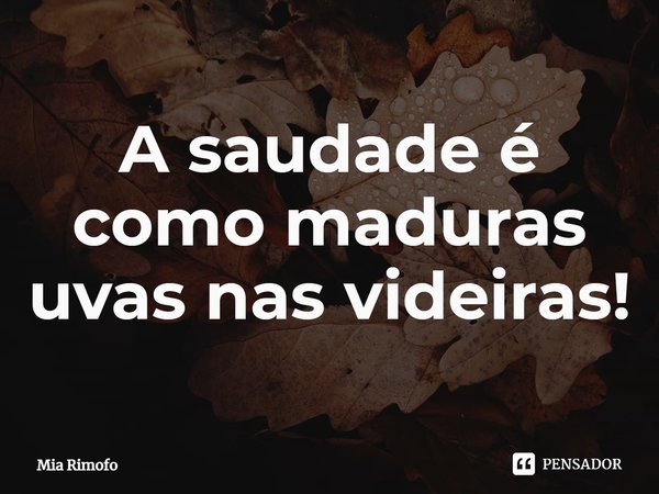 ⁠A saudade é como maduras uvas nas videiras!... Frase de Mia Rimofo.