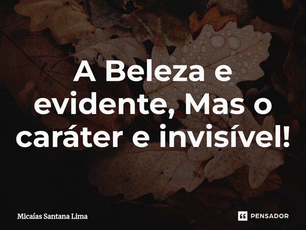 ⁠A Beleza e evidente, Mas o caráter e invisível!... Frase de Micaías Santana Lima.