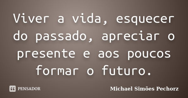 Viver a vida, esquecer do passado, apreciar o presente e aos poucos formar o futuro.... Frase de Michael Simões Pechorz.