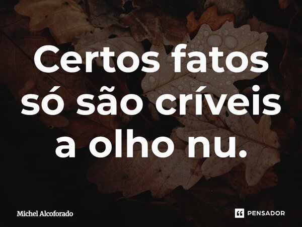 ⁠Certos fatos só são críveis a olho nu.... Frase de Michel Alcoforado.