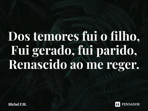 ⁠Dos temores fui o filho,
Fui gerado, fui parido,
Renascido ao me reger.... Frase de Michel F.M..