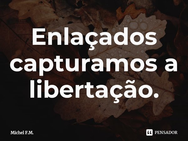 ⁠Enlaçados capturamos a libertação.... Frase de Michel F.M..