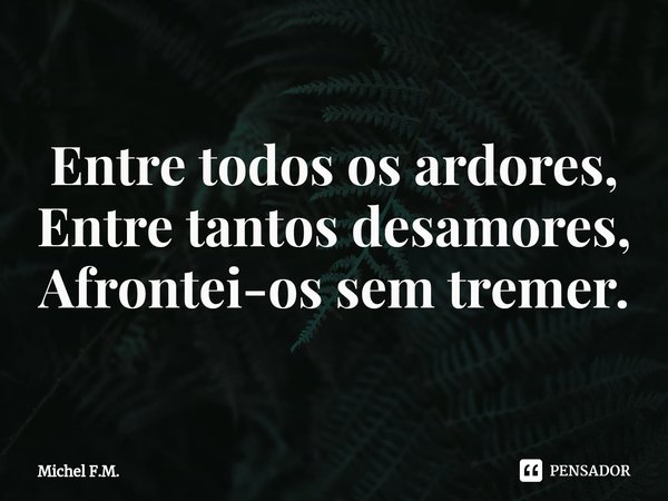 ⁠Entre todos os ardores,
Entre tantos desamores,
Afrontei-os sem tremer.... Frase de Michel F.M..