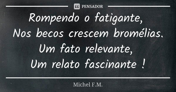 Rompendo o fatigante, Nos becos crescem bromélias. Um fato relevante, Um relato fascinante !... Frase de Michel F.M..