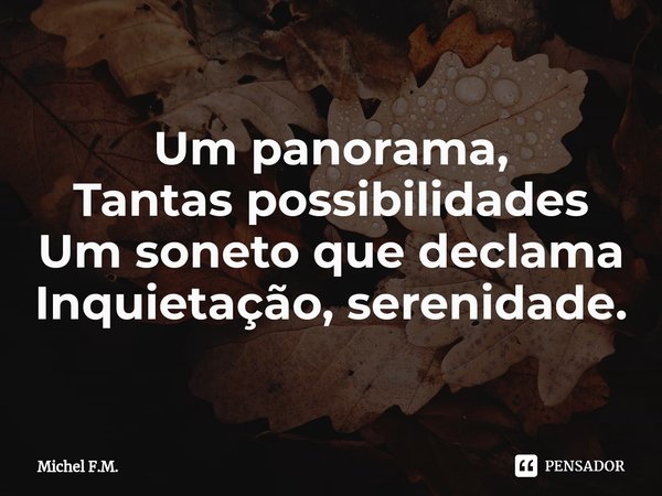 ⁠Um panorama,
Tantas possibilidades
Um soneto que declama
Inquietação, serenidade.... Frase de Michel F.M..