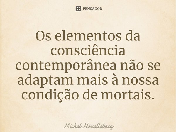 ⁠Os elementos da consciência contemporânea não se adaptam mais à nossa condição de mortais.... Frase de Michel Houellebecq.