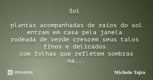 Sol plantas acompanhadas de raios do sol entram em casa pela janela rodeada de verde crescem seus talos finos e delicados com folhas que refletem sombras na mes... Frase de Michele Tajra.