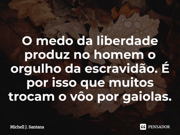 ⁠O medo da liberdade produz no homem o orgulho da escravidão. É por isso que muitos trocam o vôo por gaiolas.... Frase de Michell J. Santana.