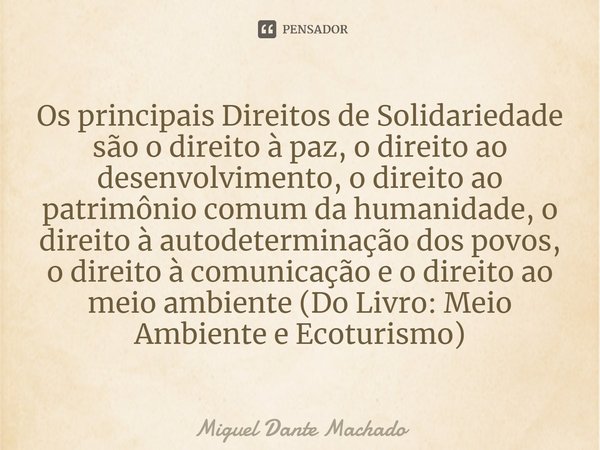 ⁠Os principais Direitos de Solidariedade são o direito à paz, o direito ao desenvolvimento, o direito ao patrimônio comum da humanidade, o direito à autodetermi... Frase de Miguel Dante Machado.