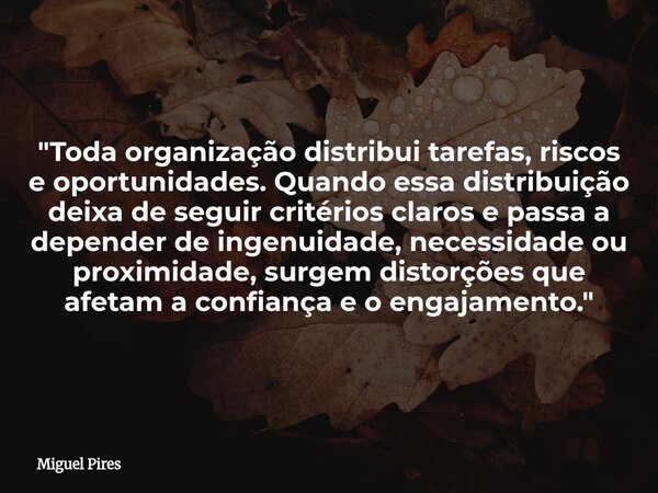 "Toda organização distribui tarefas, riscos e oportunidades. Quando essa distribuição deixa de seguir critérios claros e passa a depender de ingenuidade, n... Frase de Miguel Pires.