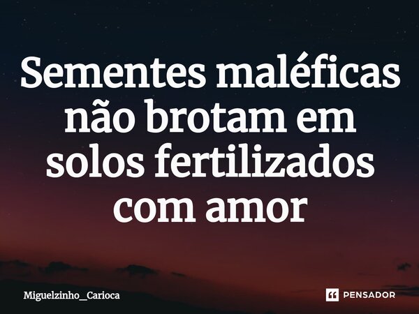 ⁠Sementes maléficas não brotam em solos fertilizados com amor... Frase de Miguelzinho_Carioca.