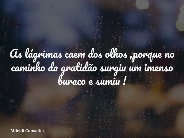 As lágrimas caem dos olhos ,porque no caminho da gratidão surgiu um imenso buraco e sumiu !... Frase de Mileidi Consalter.