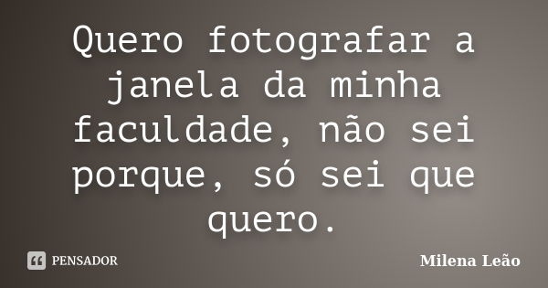 Quero fotografar a janela da minha faculdade, não sei porque, só sei que quero.... Frase de Milena Leão.