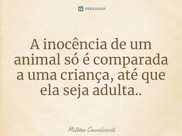 ⁠A inocência de um animal só é comparada a uma criança, até que ela seja adulta..... Frase de Miltão Cavalcanti.