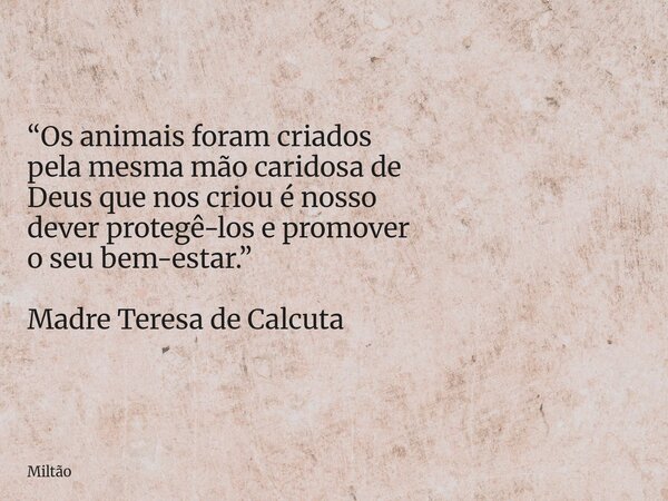 “Os animais foram criados pela mesma mão caridosa de Deus que nos criou é nosso dever protegê-los e promover o seu bem-estar.” Madre Teresa de Calcuta... Frase de Miltão.