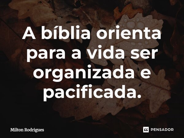 ⁠A bíblia orienta para a vida ser organizada e pacificada.... Frase de Milton Rodrigues.