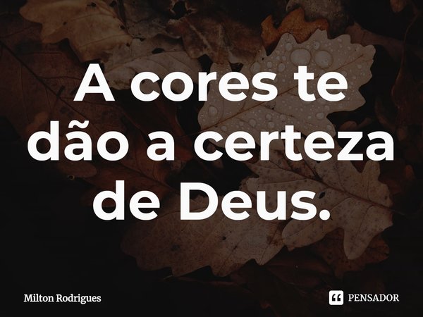 ⁠A cores te dão a certeza de Deus.... Frase de Milton Rodrigues.