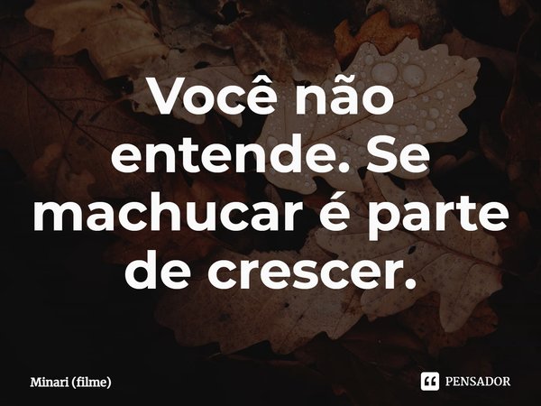 ⁠Você não entende. Se machucar é parte de crescer.... Frase de Minari (filme).