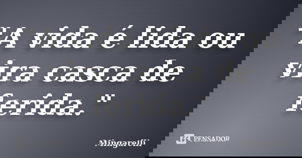 "A vida é lida ou vira casca de ferida."... Frase de Mingarelli.