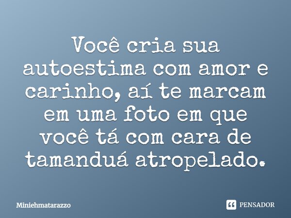 Você cria sua autoestima com amor e carinho, aí te marcam em uma foto em que você tá com cara de tamanduá atropelado.... Frase de Miniehmatarazzo.