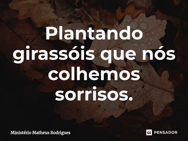 Plantando girassóis que nós colhemos sorrisos.⁠... Frase de Ministério Matheus Rodrigues.