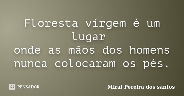 Floresta virgem é um lugar onde as mãos dos homens nunca colocaram os pés.... Frase de Miral Pereira dos Santos.