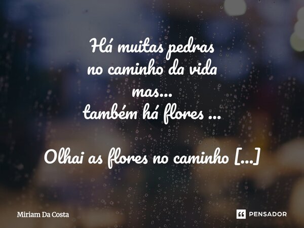 Há muitas pedras no caminho da vida mas... também há flores ... Olhai as flores no caminho nas trilhas e entre as pedras... Sim! Há beleza mesmo entre as dores... Frase de Miriam Da Costa.
