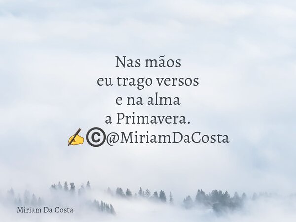 Nas mãos eu trago versos e na alma a Primavera. ✍©️@MiriamDaCosta... Frase de Miriam Da Costa.