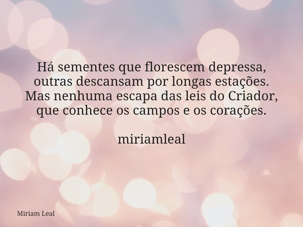 Há sementes que florescem depressa, outras descansam por longas estações. Mas nenhuma escapa das leis do Criador, que conhece os campos e os corações. miriamlea... Frase de Miriam Leal.