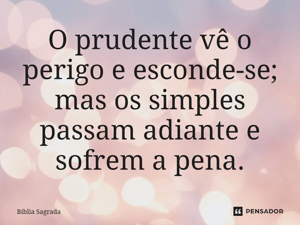 O prudente vê o perigo e esconde-se; mas os simples passam adiante e sofrem a pena.... Frase de Bíblia Sagrada.