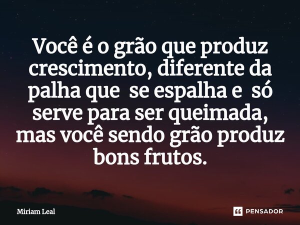 ⁠Você é o grão que produz crescimento, diferente da palha que se espalha e só serve para ser queimada, mas você sendo grão produz bons frutos.... Frase de Miriam Leal.