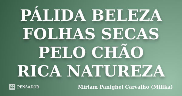 PÁLIDA BELEZA FOLHAS SECAS PELO CHÃO RICA NATUREZA... Frase de Miriam Panighel Carvalho (Milika).