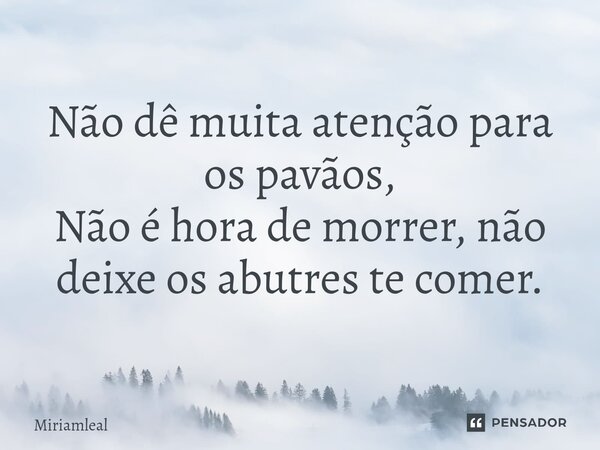 ⁠Não dê muita atenção para os pavãos, Não é hora de morrer, não deixe os abutres te comer.... Frase de Miriamleal.