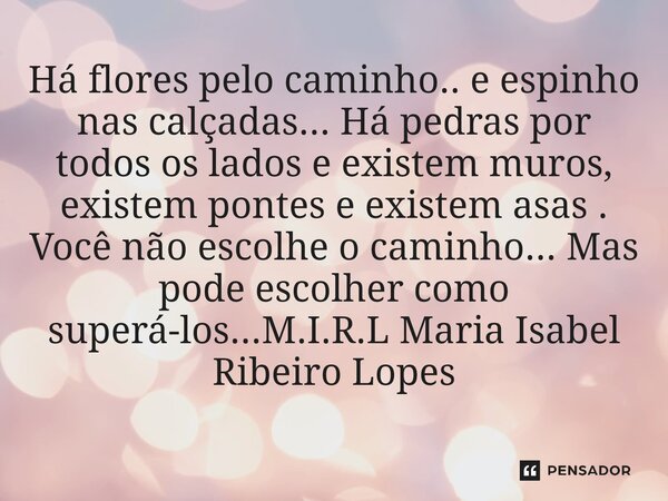 ⁠Há flores pelo caminho.. e espinho nas calçadas... Há pedras por todos os lados e existem muros, existem pontes e existem asas . Você não escolhe o caminho... ... Frase de M.I.R.L Maria Isabel Ribeiro Lopes.