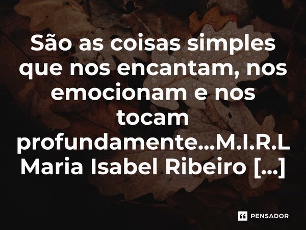 ⁠São as coisas simples que nos encantam, nos emocionam e nos tocam profundamente...... Frase de M.I.R.L Maria Isabel Ribeiro Lopes.
