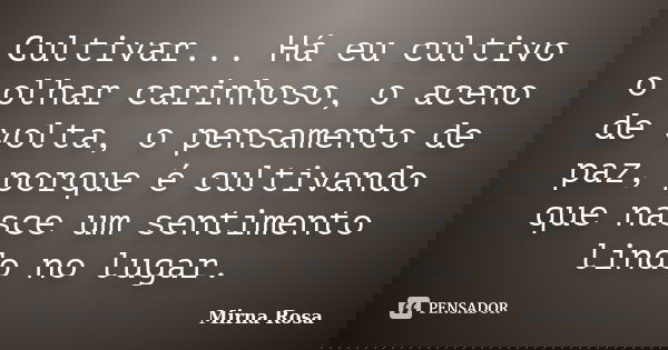 Cultivar... Há eu cultivo o olhar carinhoso, o aceno de volta, o pensamento de paz, porque é cultivando que nasce um sentimento lindo no lugar.... Frase de Mirna Rosa.