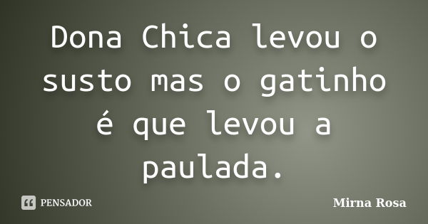 Dona Chica levou o susto mas o gatinho é que levou a paulada.... Frase de Mirna Rosa.