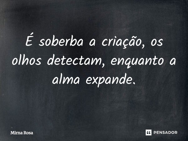 ⁠É soberba a criação, os olhos detectam, enquanto a alma expande.... Frase de Mirna Rosa.