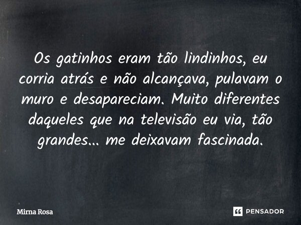 ⁠Os gatinhos eram tão lindinhos, eu corria atrás e não alcançava, pulavam o muro e desapareciam. Muito diferentes daqueles que na televisão eu via, tão grandes.... Frase de Mirna Rosa.