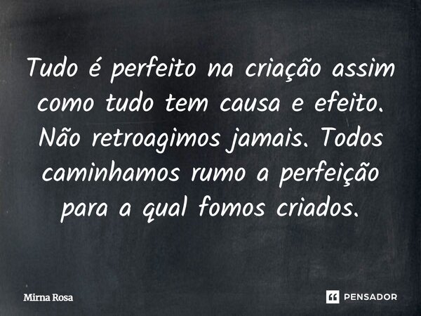 ⁠Tudo é perfeito na criação assim como tudo tem causa e efeito. Não retroagimos jamais. Todos caminhamos rumo a perfeição para a qual fomos criados.... Frase de Mirna Rosa.