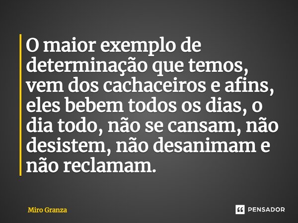 ⁠O maior exemplo de determinação que temos, vem dos cachaceiros e afins, eles bebem todos os dias, o dia todo, não se cansam, não desistem, não desanimam e não ... Frase de Miro Granza.