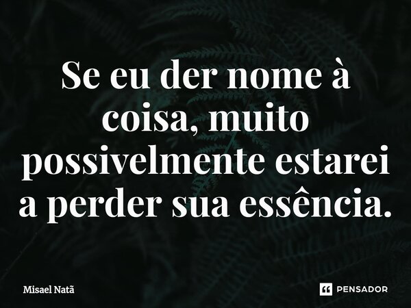 Se eu der nome à coisa, muito possivelmente estarei a perder sua essência.... Frase de Misael Natã.