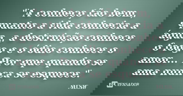 "A conheço tão bem, quanto a vida conhecia a água, a destruição conhece o fogo e o ódio conhece o amor... Por que quando se ama nunca se esquece."... Frase de MLSR.